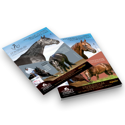 Revista Rancho Tavares